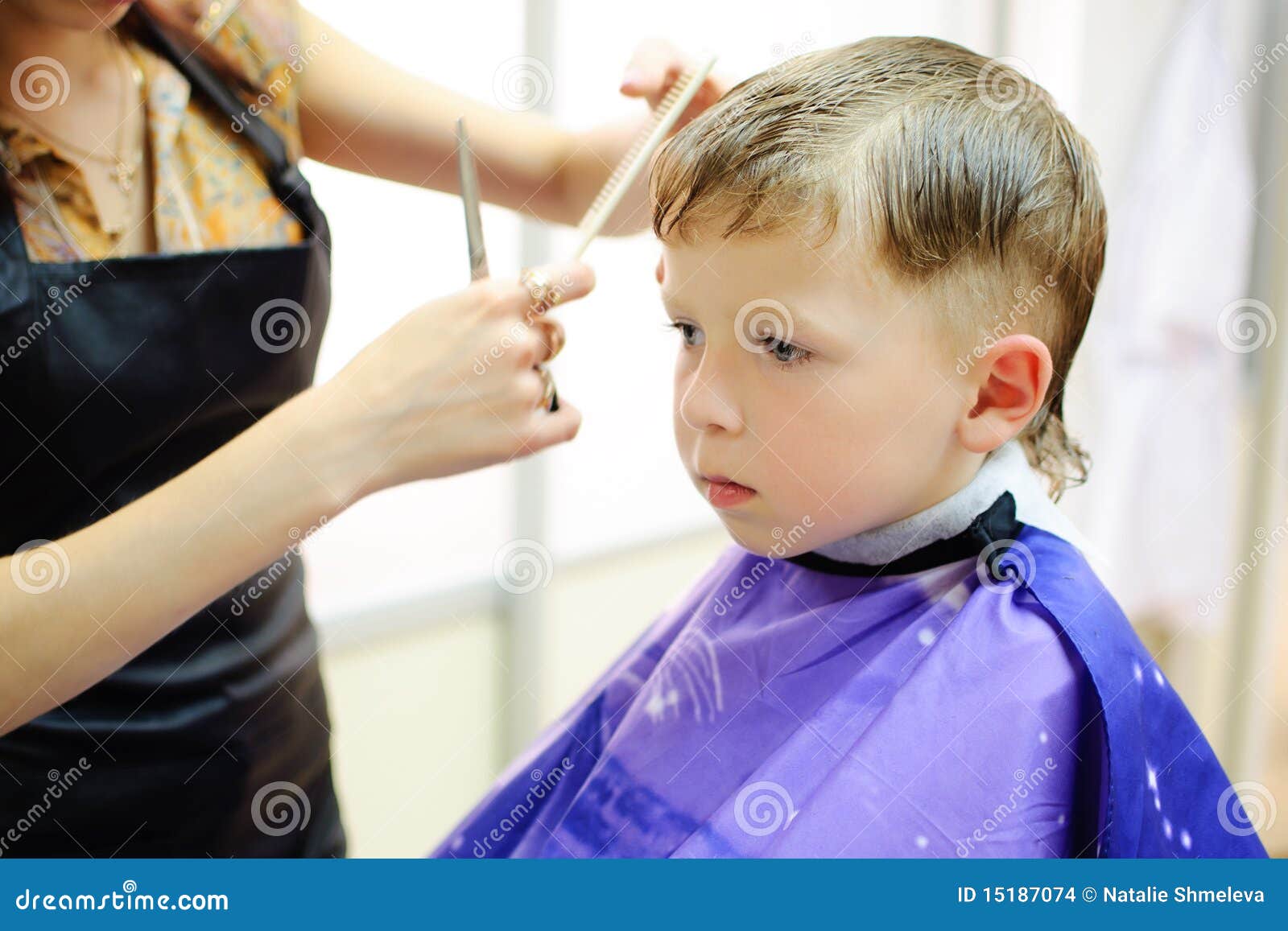 Boy Getting Haircut Stock Photo Image Of Caucasian Beautician