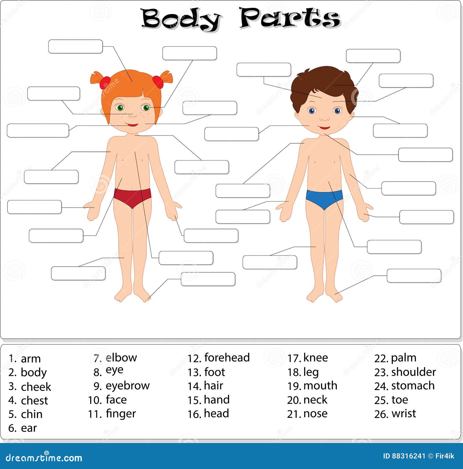 My Body Parts Educational Infographic Kids Poster Vector Template Cute