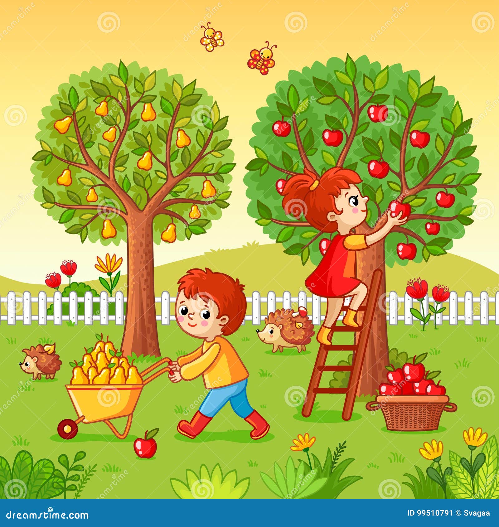 boy and girl collect fruit harvest.
