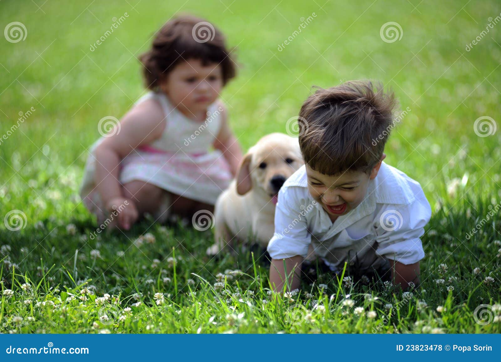 Boy and Girl with His Dog in the Park Stock Photo Image of face, love