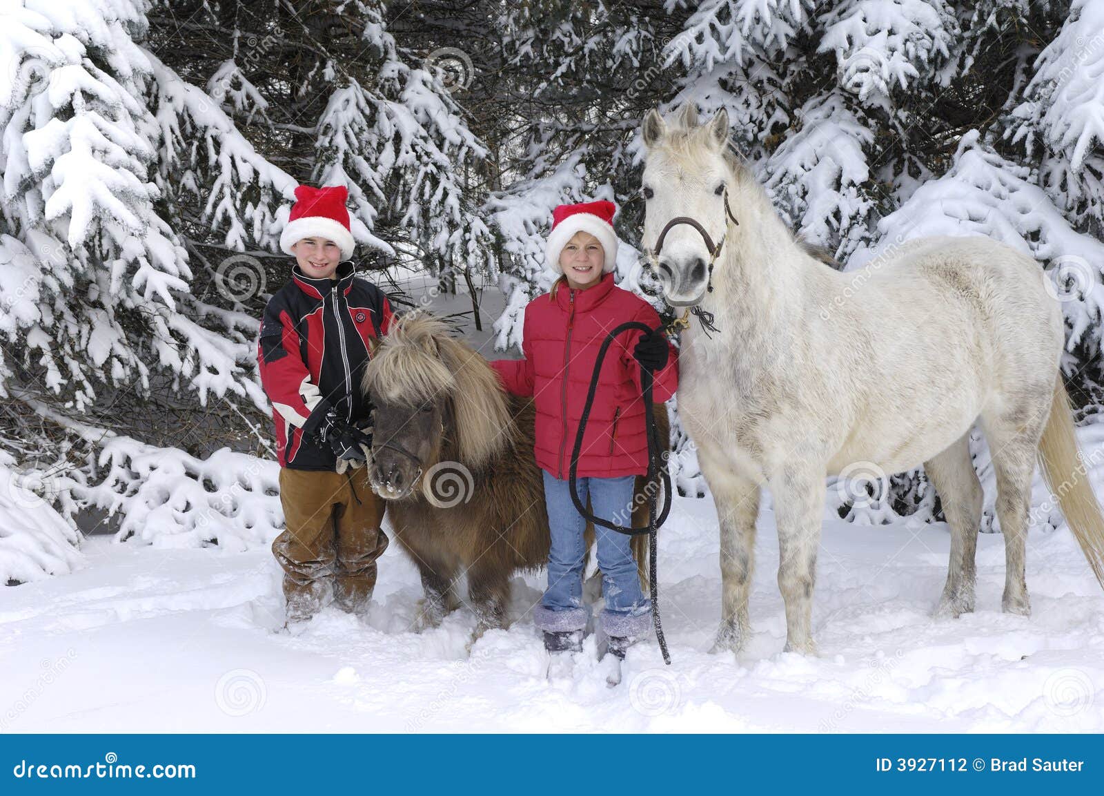 Boy and Girl with horses stock photo. Image of equestrian 3927112