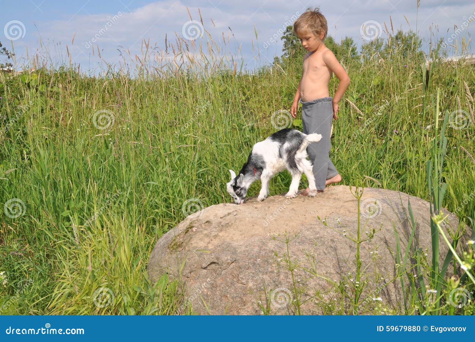 The Boy and a Goat on a Boulder Stock Photo Image of holidays, animal