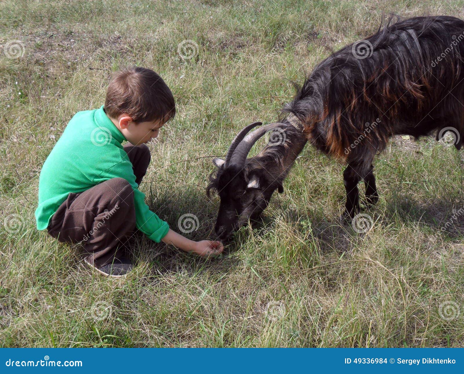 Boy and goat stock photo. Image of goat, caring, ukraine 49336984