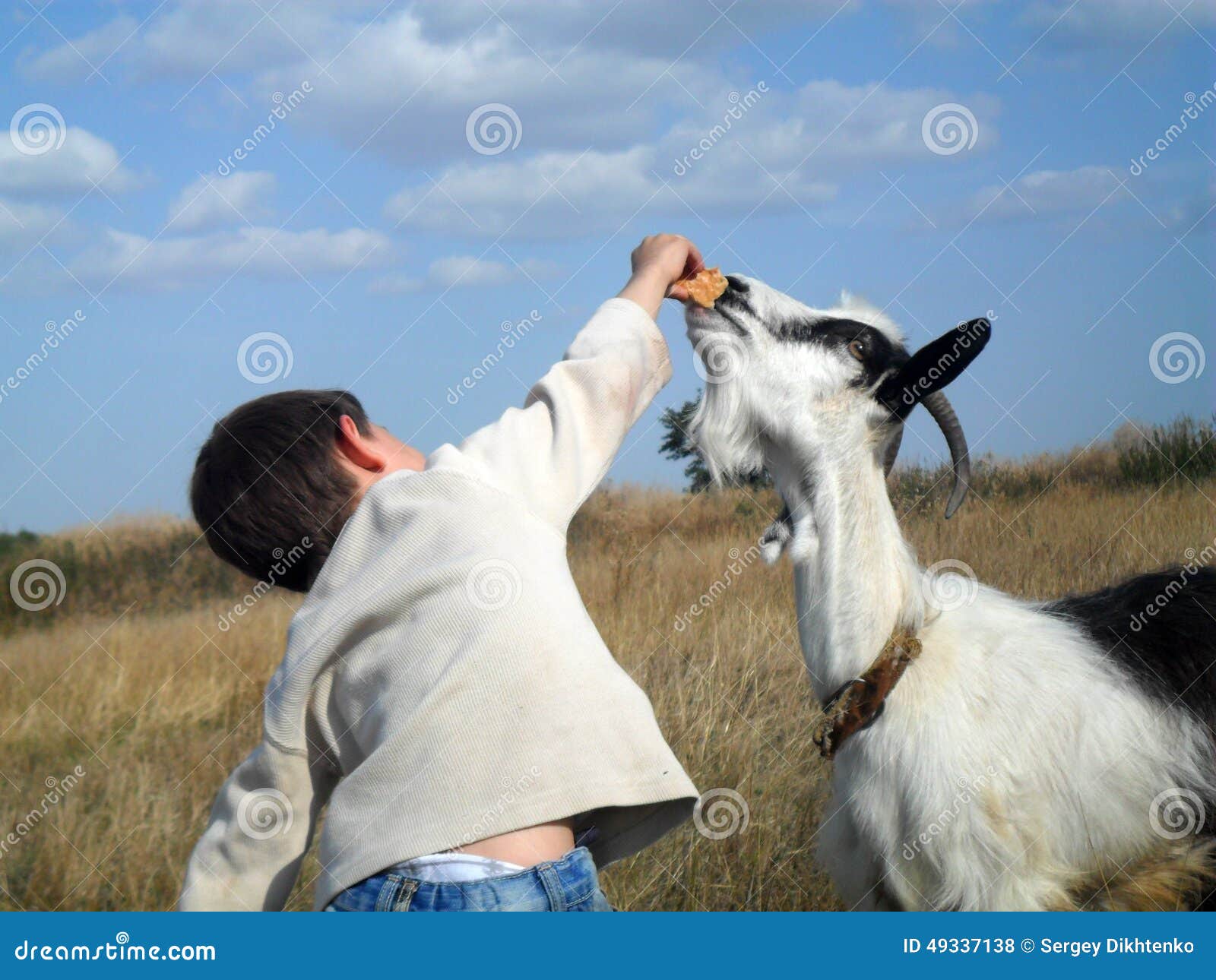 Boy and goat stock photo. Image of field, ukraine, farm 49337138