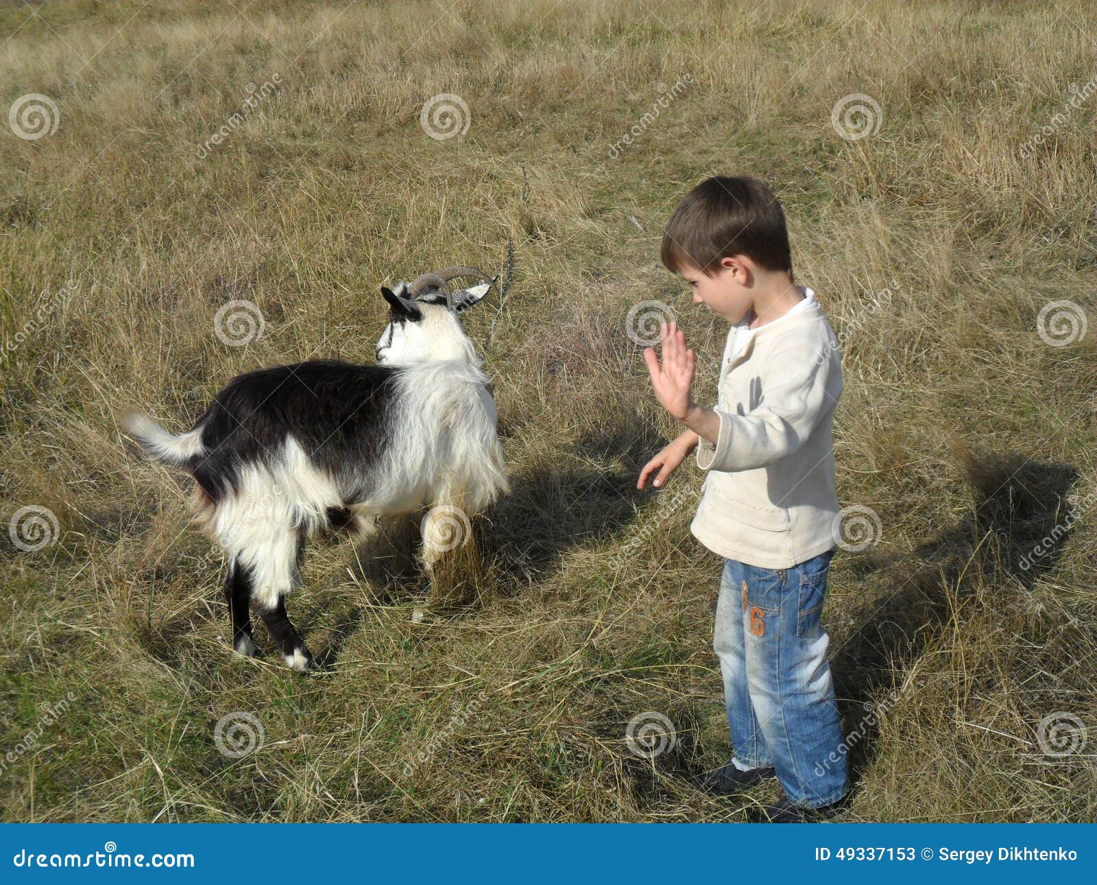 Boy and goat stock image. Image of goat, autumn, ukraine 49337153