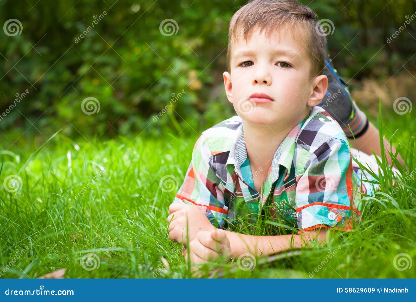 Boy in the grass stock image. Image of countryside, attentive - 58629609