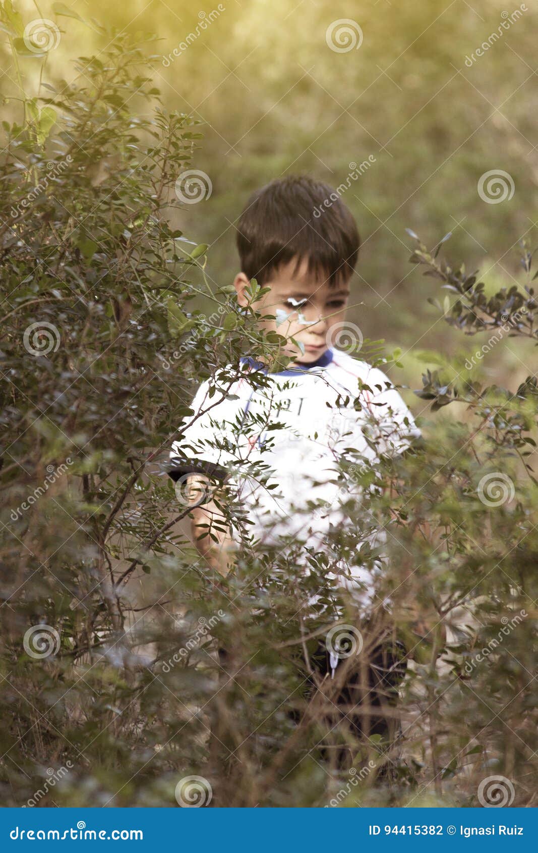 Boy with Green Eyes in the Park Stock Photo Image of happy, person