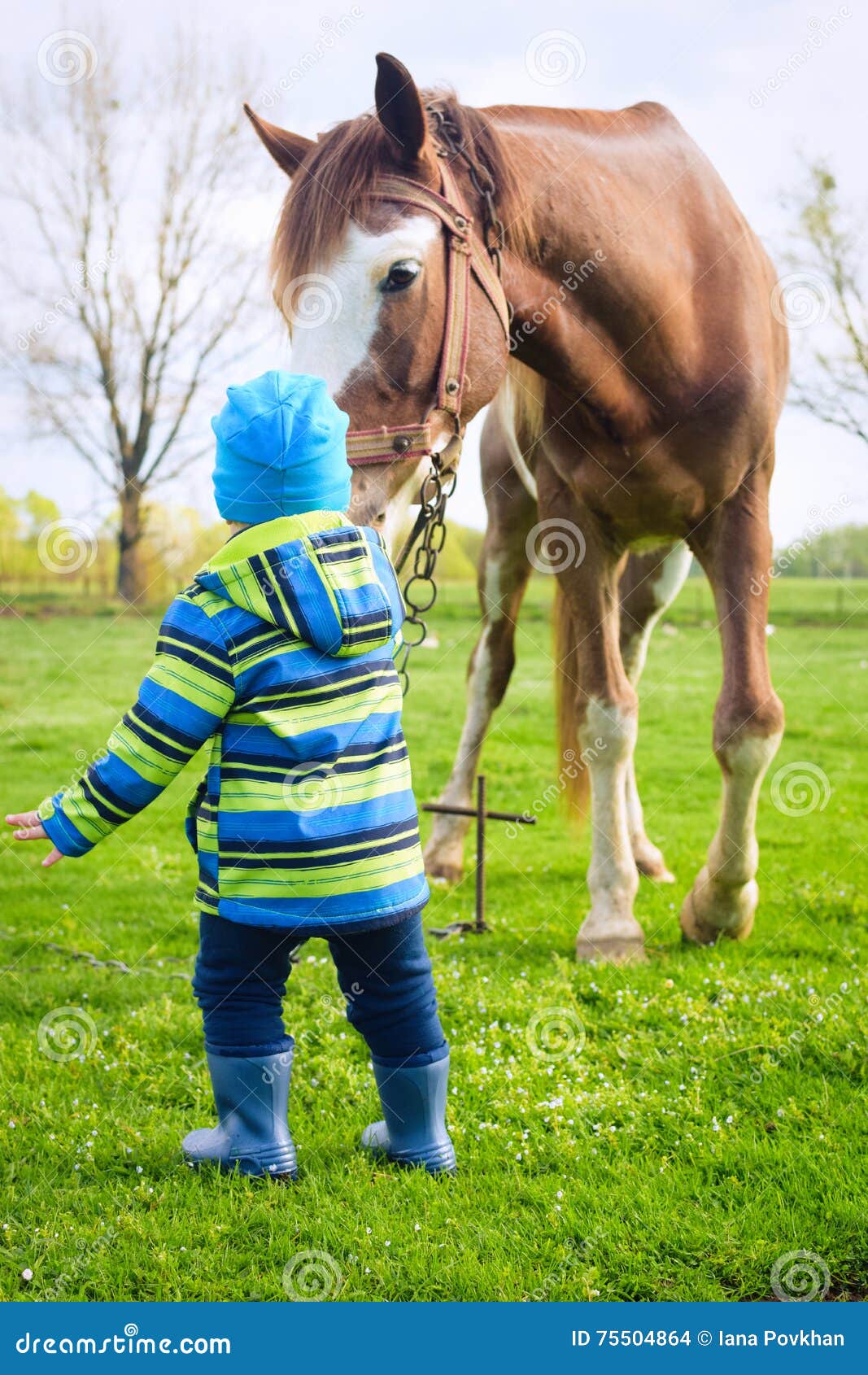 A Boy in a Gumboots Playing with a Horse Stock Photo Image of pets, shoes 75504864