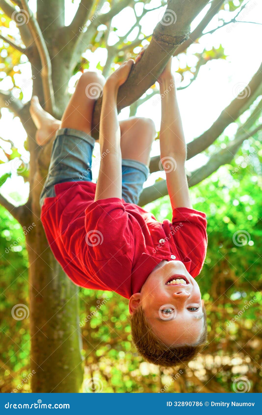 happy kids hanging on tree in summer park Stock Photo - Alamy