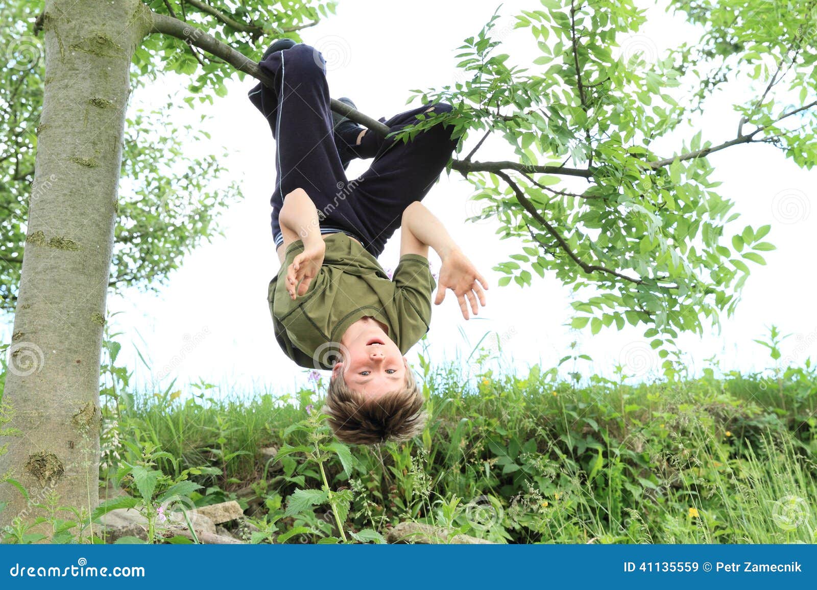 Kids Hanging From Branch Of Tree Royalty Free Stock Image 