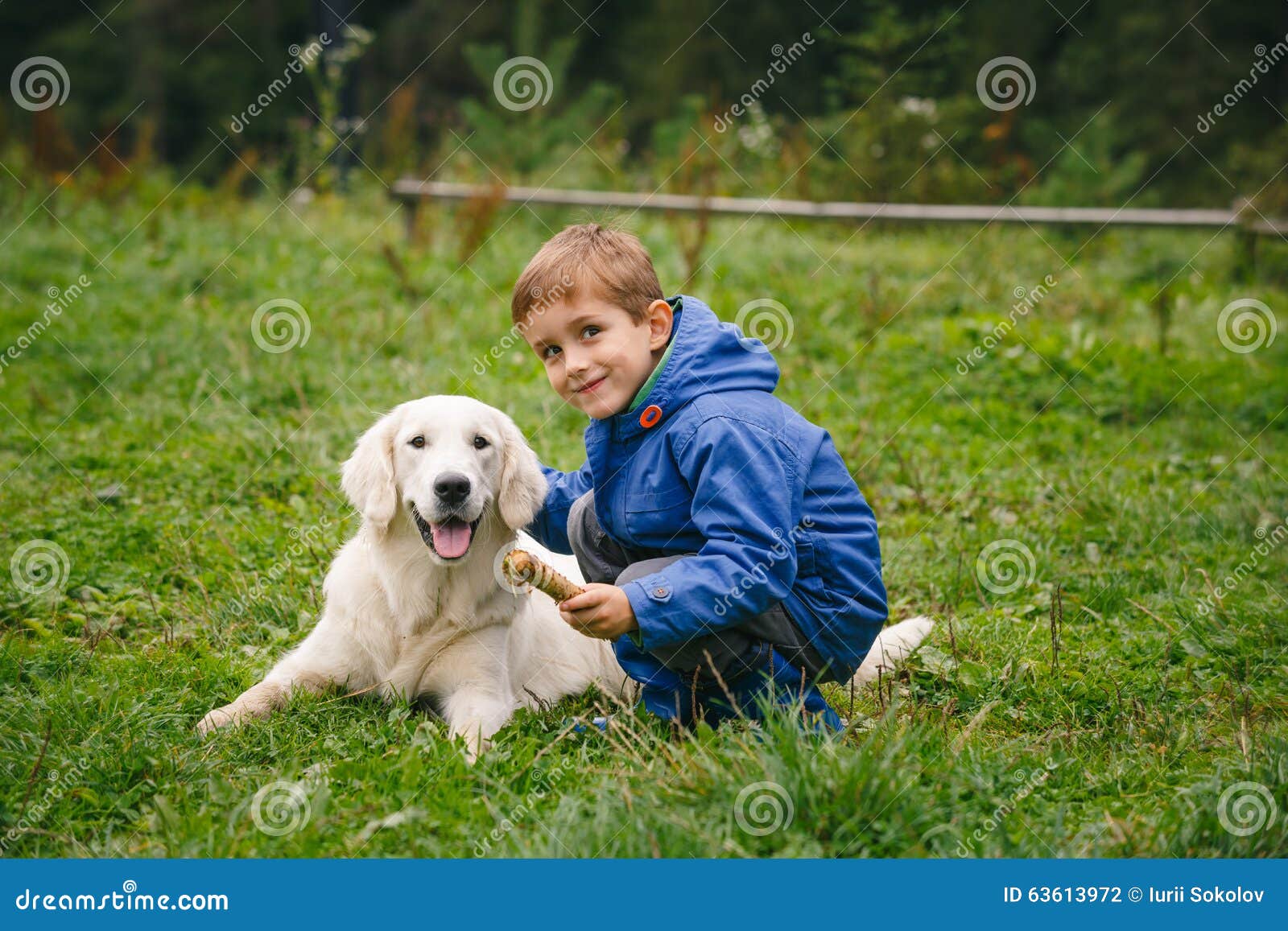 Boy with His Pet in the Forest Stock Photo - Image of nature ...