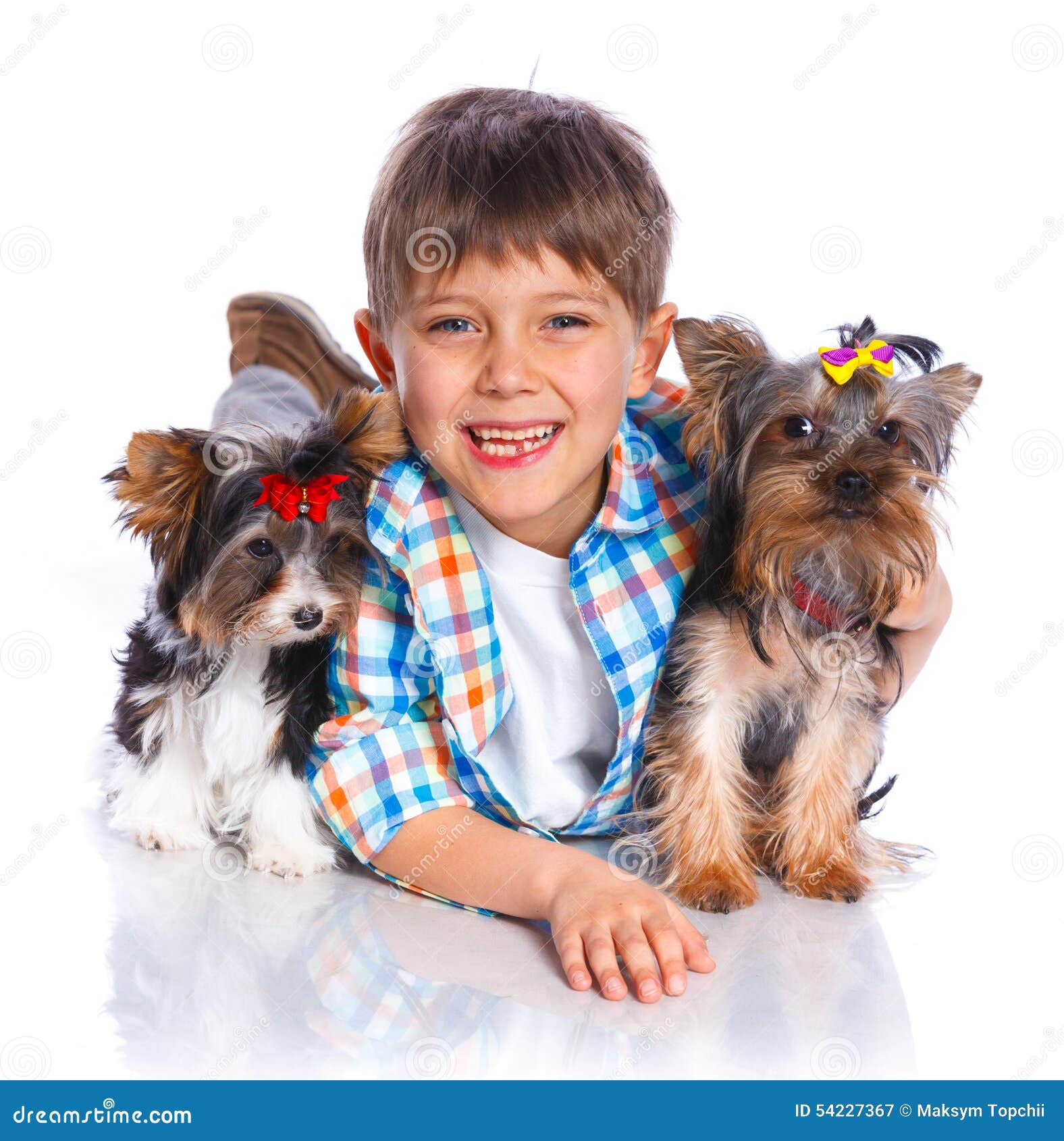 Boy with His Yorkshire Terrier Stock Image Image of kneeling