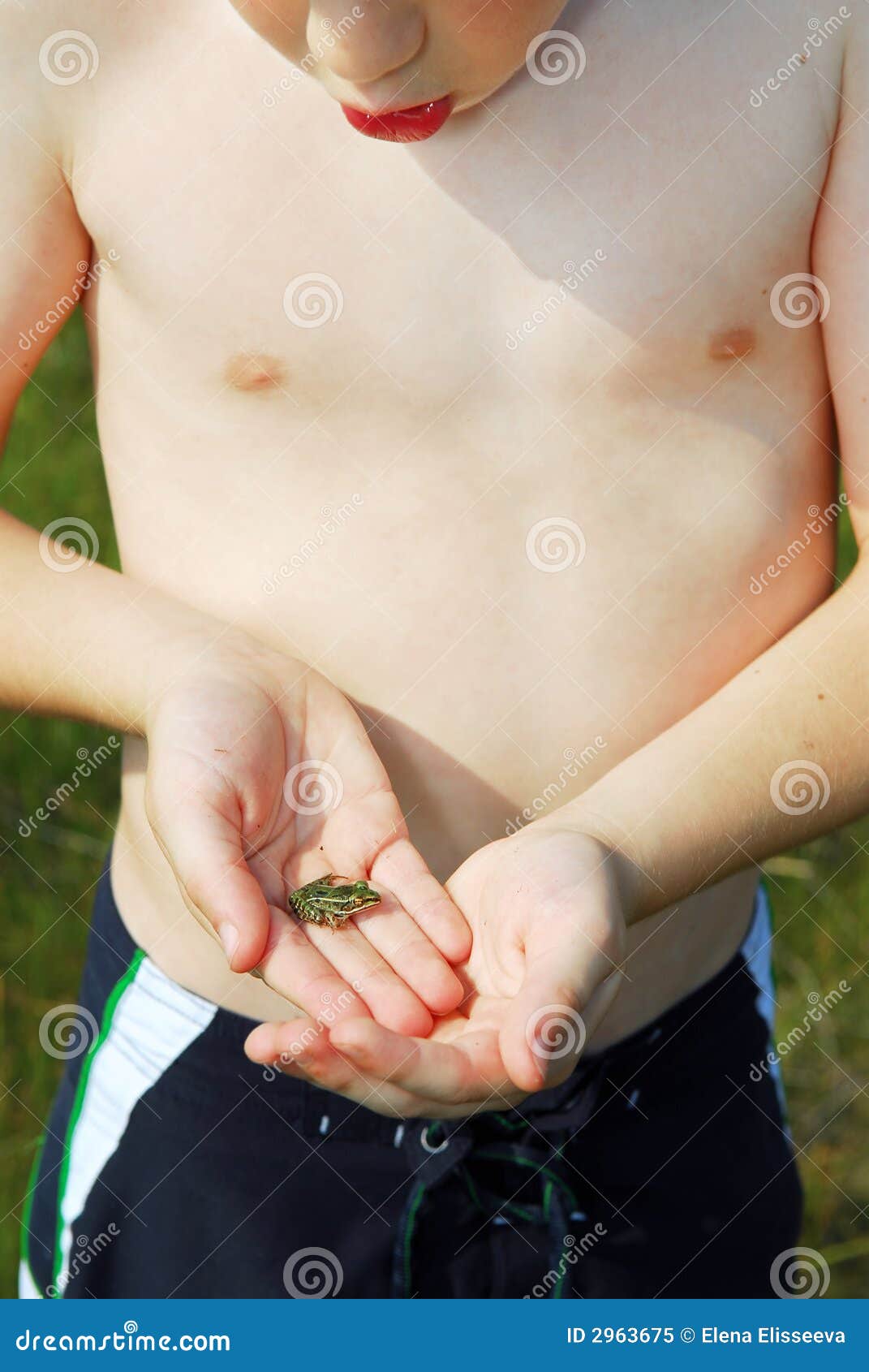 Boy Holding A Frog Royalty Free Stock Photo - Image: 2963675