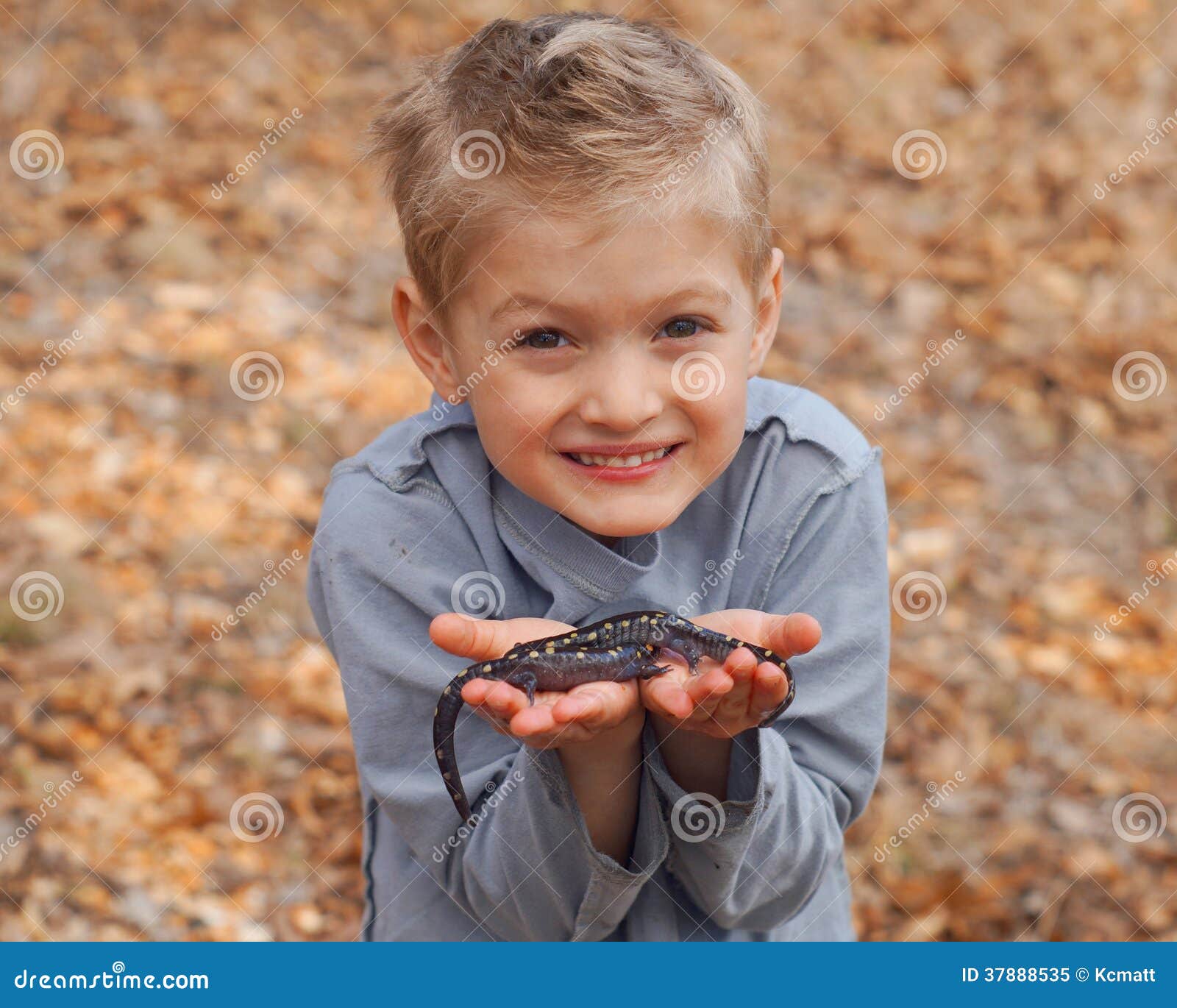 Boy Holding Salamanders Royalty Free Stock Photo Image 37888535