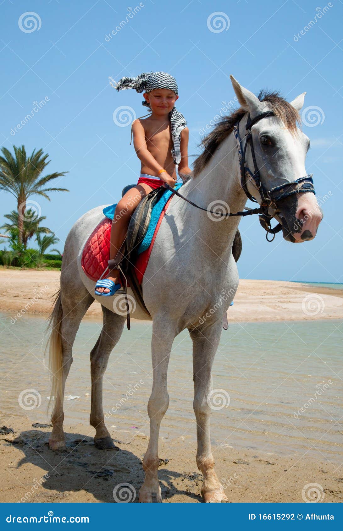 A boy on horseback stock photo. Image of summer, sport 16615292