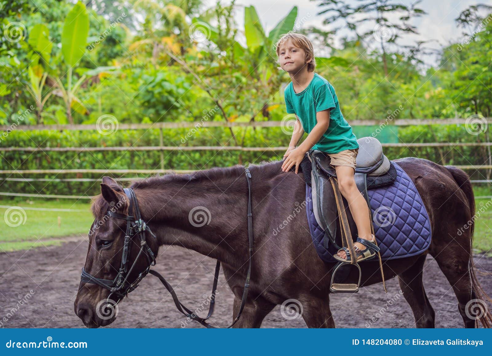 Boy Horseback Riding, Performing Exercises on Horseback Stock Photo