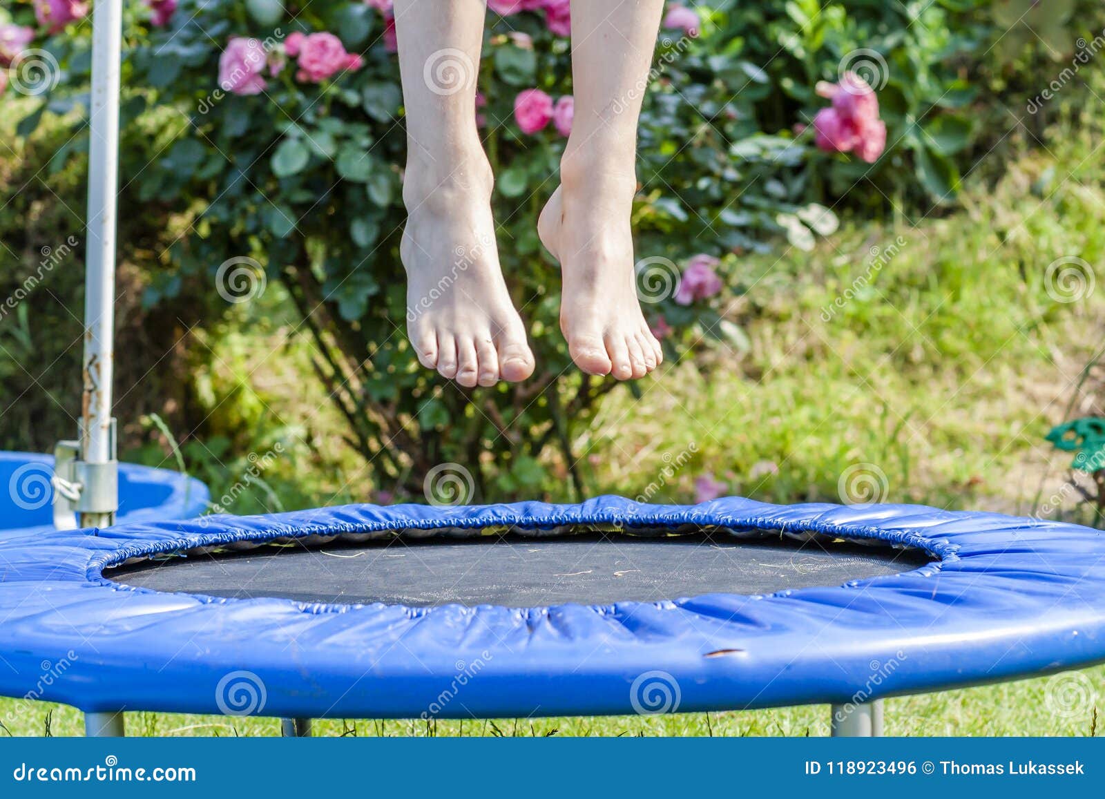Boy Jumping on Trampoline in Backyard Stock Photo Image of cheerful
