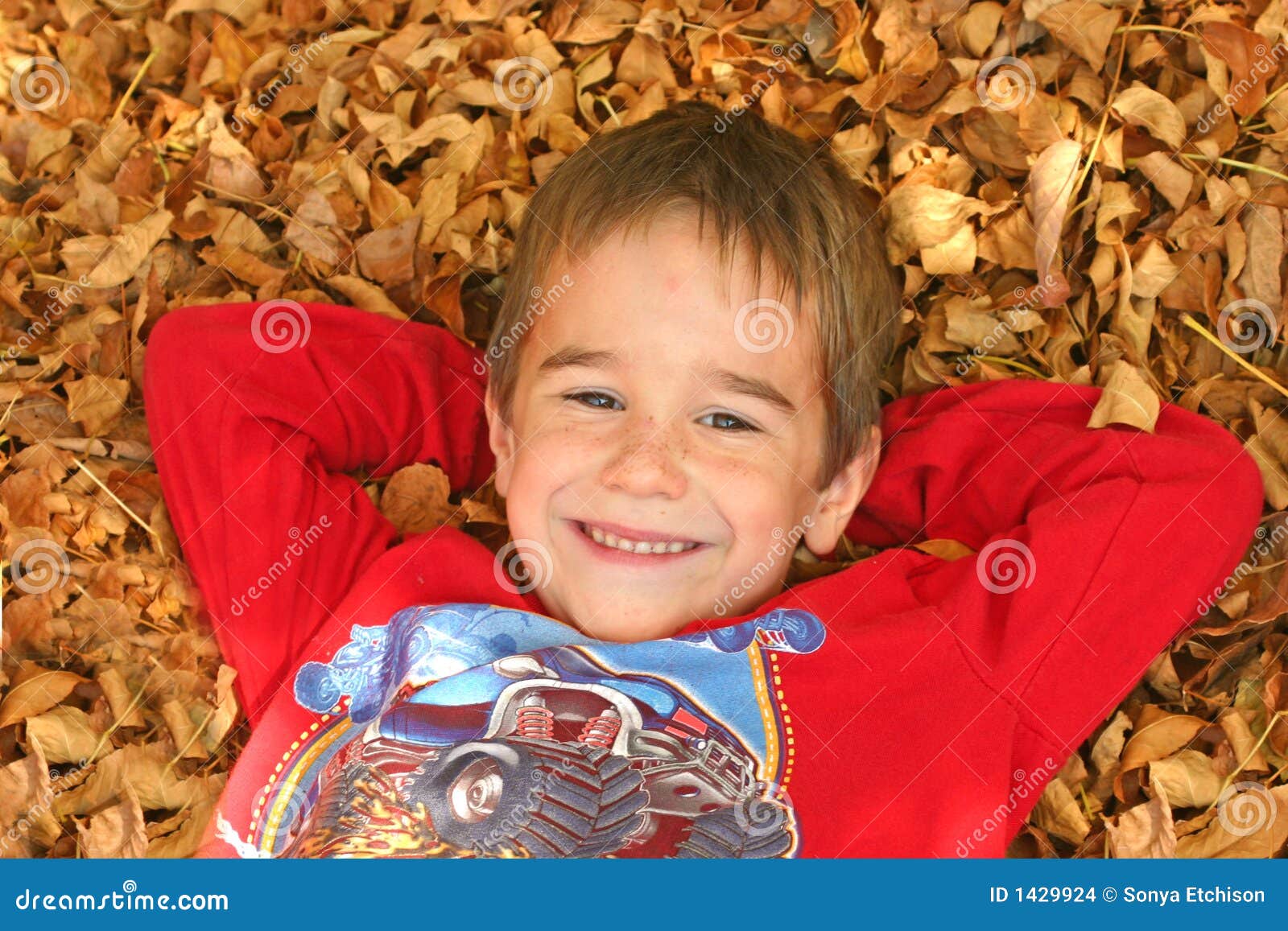 Boy in Leaves stock photo. Image of little, happy, laying 1429924