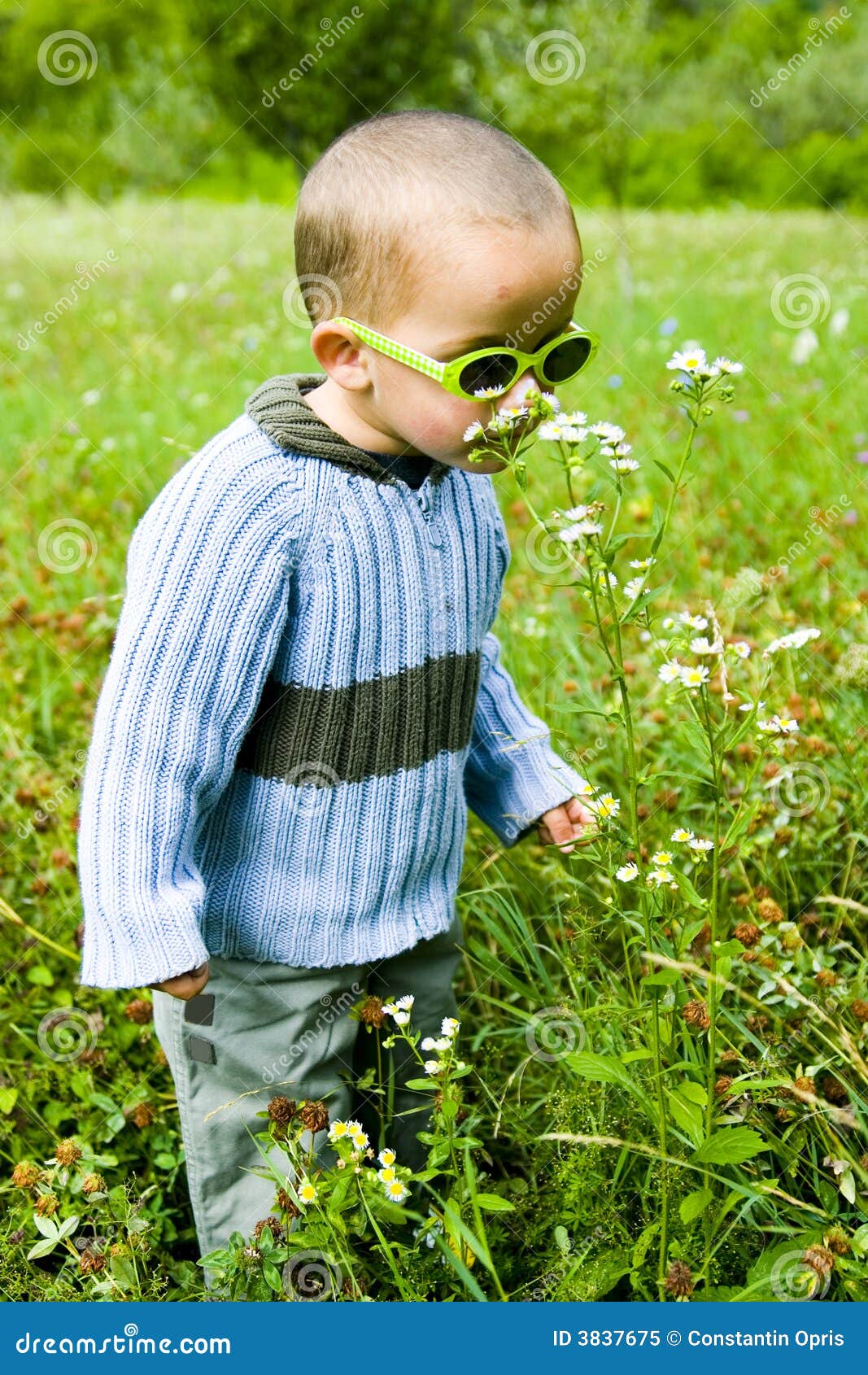 Boy in nature. A cute little caucasian white boy child with yellow sunglasses standing in a green meadow smelling the flowers discovering nature