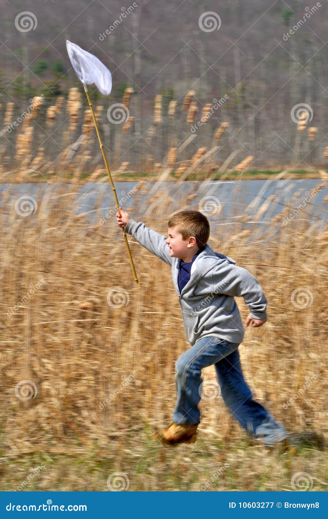 Boy with Net Running stock image. Image of outdoors, people 10603277