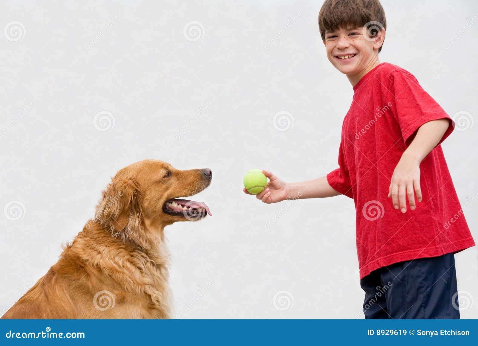 Boy Playing Catch With Dog Royalty Free Stock Images Image 8929619