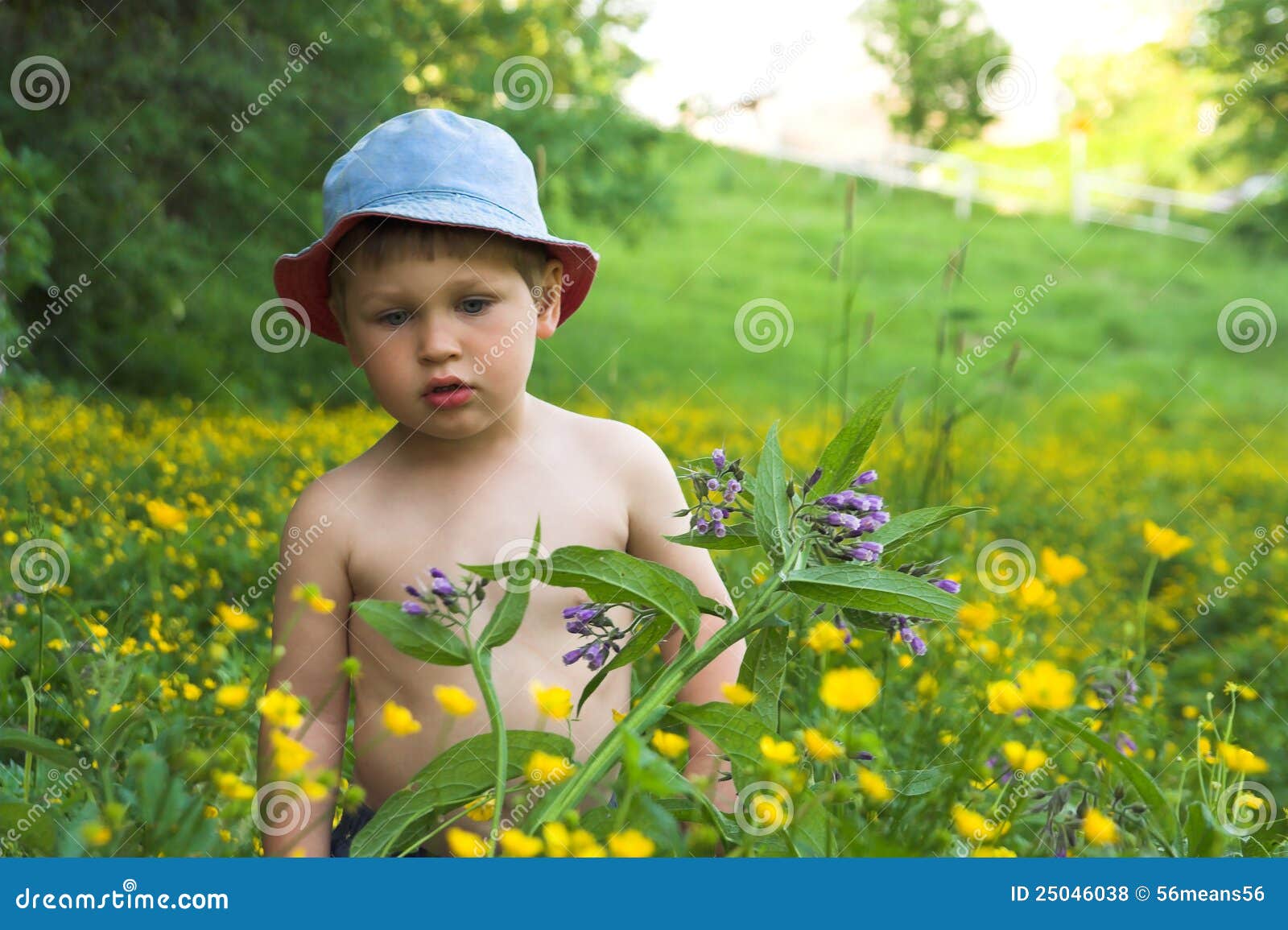 Boy playing on the meadow stock photo. Image of rest - 25046038