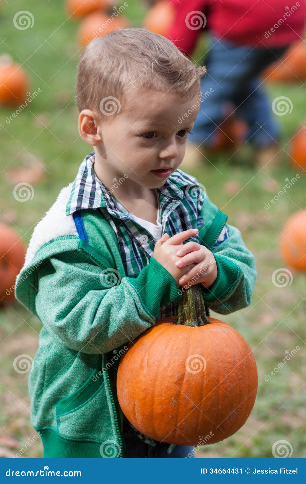Boy pumpkin picking stock image. Image