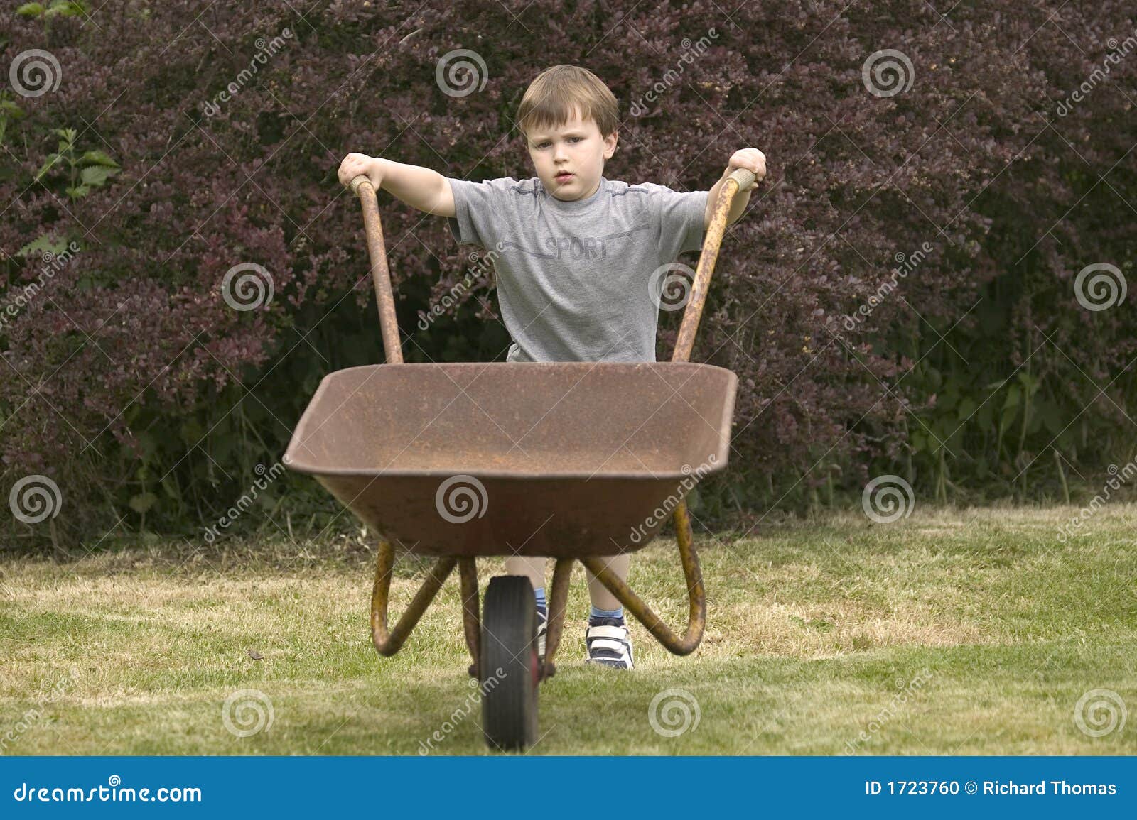 A Boy Pushing a Wheelbarrow Stock Photo Image of offspring, push 1723760