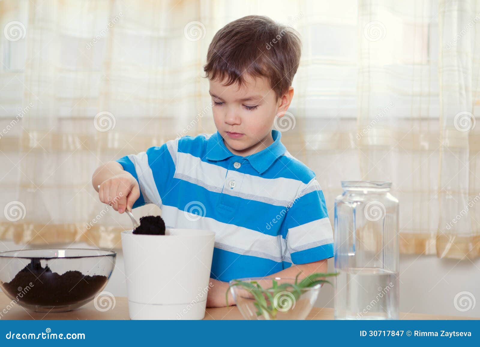 Boy puts plant in pot stock image. Image of crop, caucasian 30717847