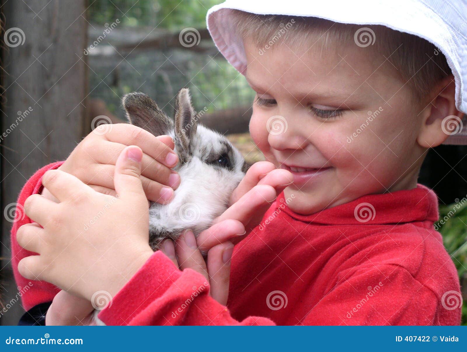 Boy and Rabbit stock photo. Image of animal, joyful, happy 407422