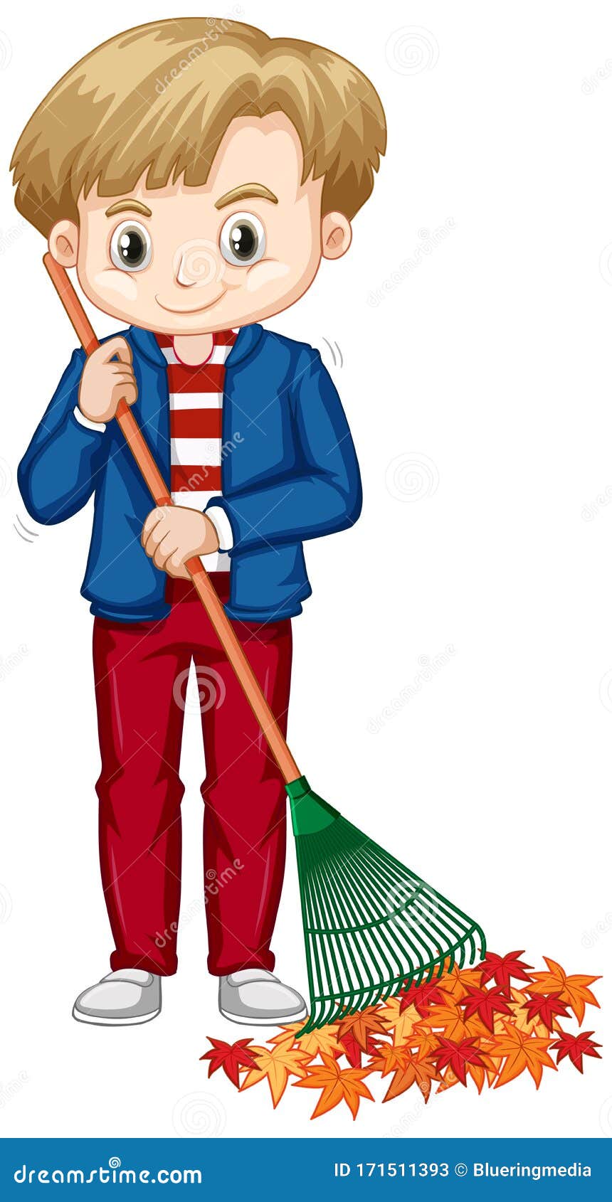 Boy Raking Leaves on White Background Stock Vector - Illustration of ...