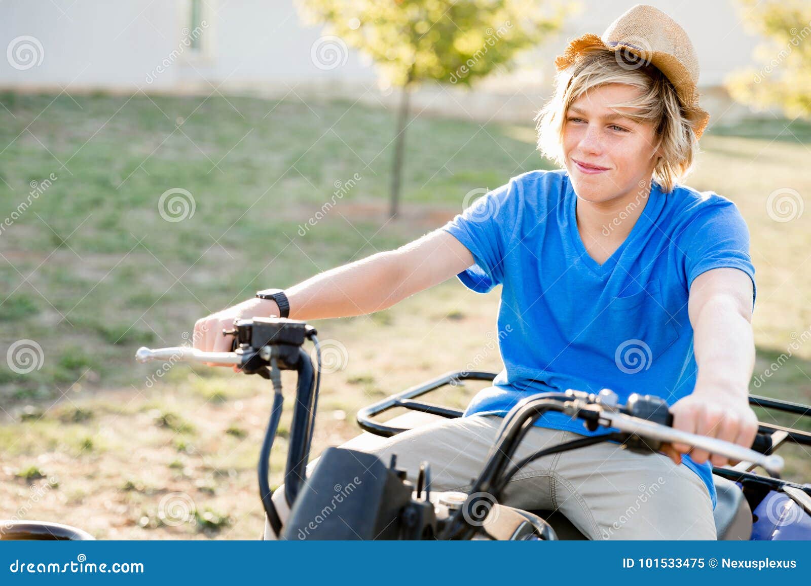 Boy Riding Farm Truck in Vineyard Stock Image - Image of agriculture ...