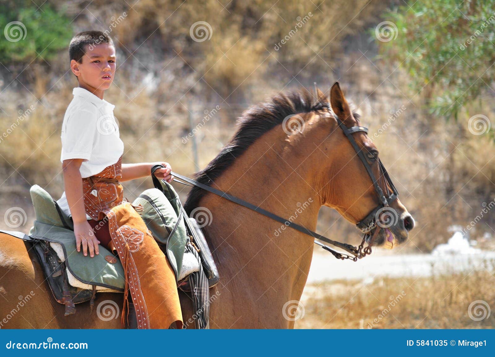 Boy Riding Horse stock image. Image of trekking, bridle 5841035