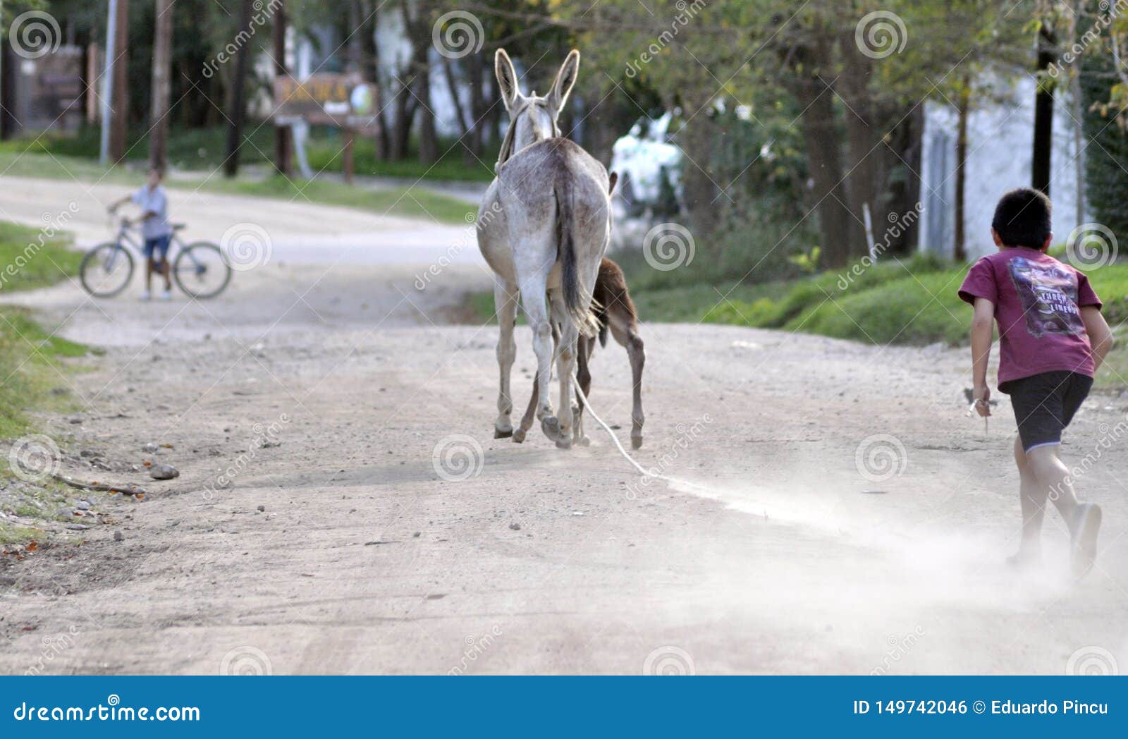 boy running towards a donkey