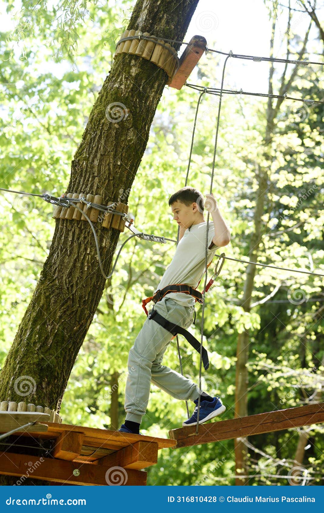 boy climbs on a route in treetops in a forest adventure park.