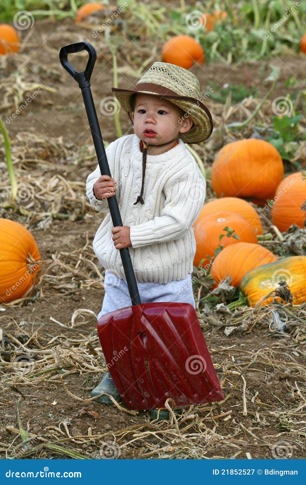 Boy with a Shovel stock image. Image of photograph, american 21852527