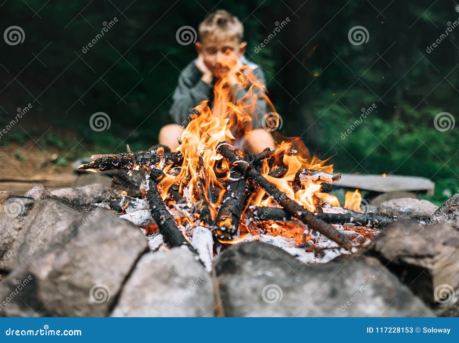 Boy Sits Near Campfire in Forest Stock Image Image of adventure, fire
