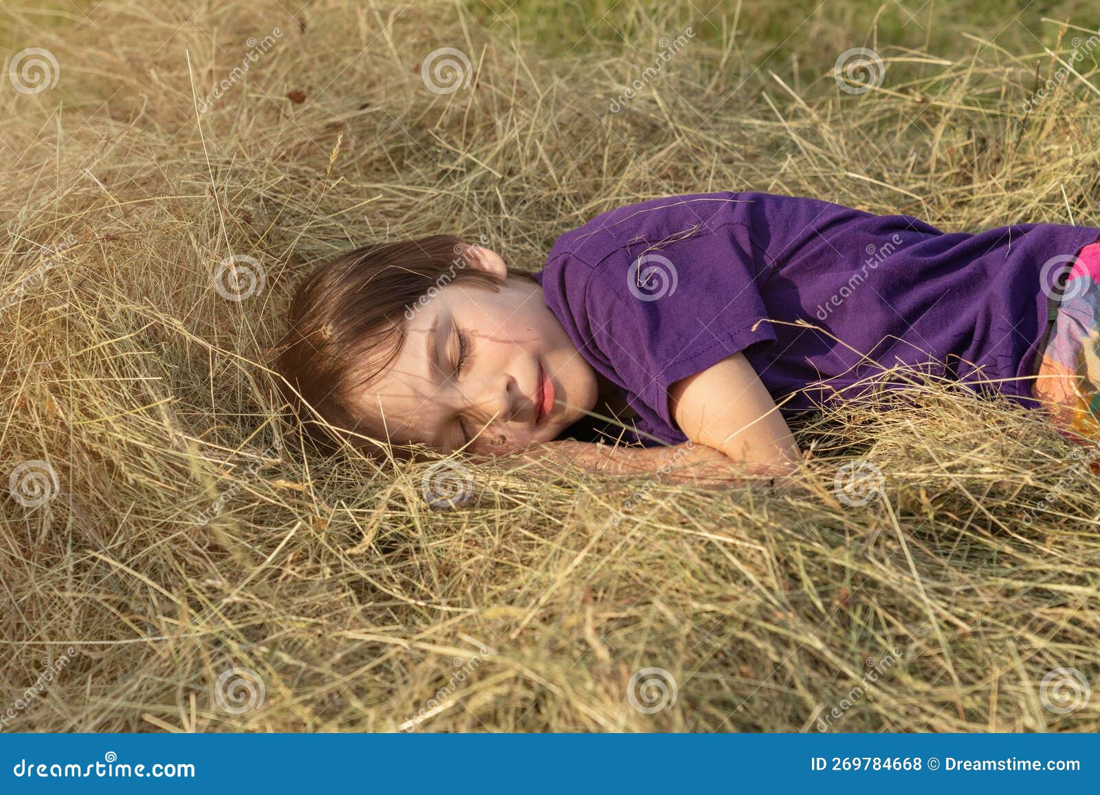 The Boy is Sleeping on a Haystack Stock Photo Image of agriculture