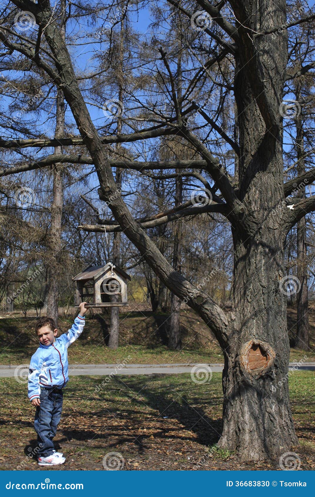Boy Stands Near A Bird Feeder Under The Tree. Stock Photo 