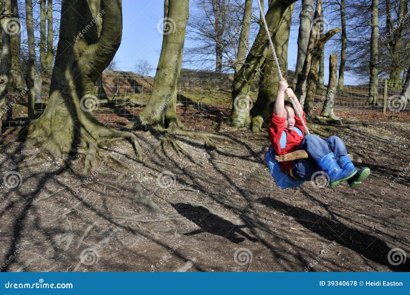 Boy swinging in the trees stock photo. Image of recreation 39340678