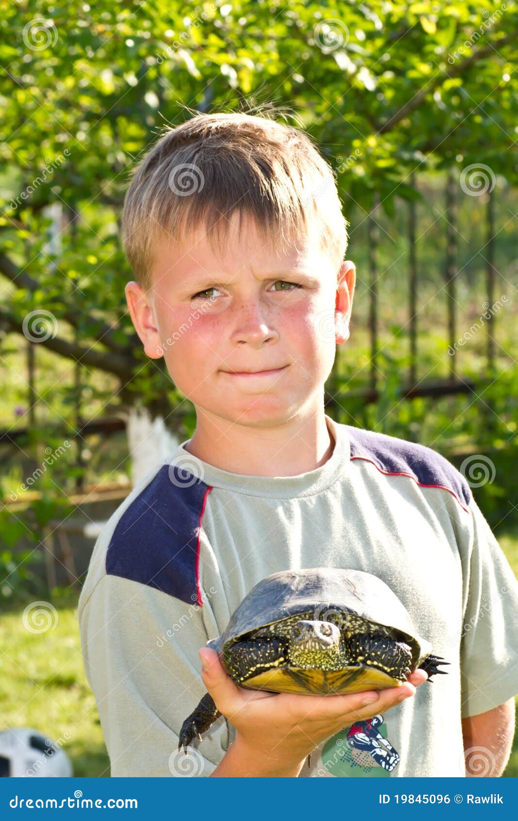 Boy with turtle stock photo. Image of home, sunny, care 19845096