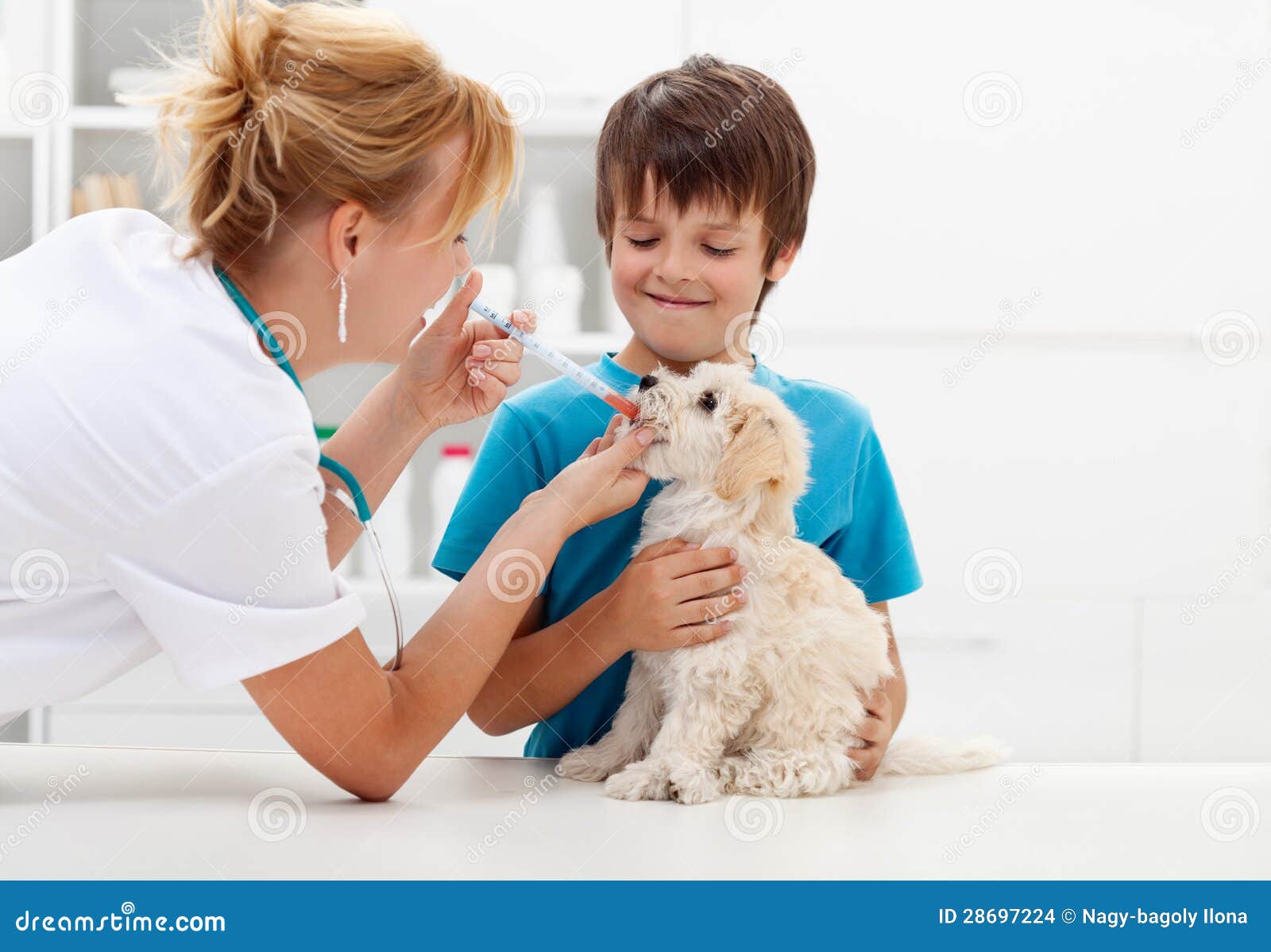 boy at the veterinary with his dog