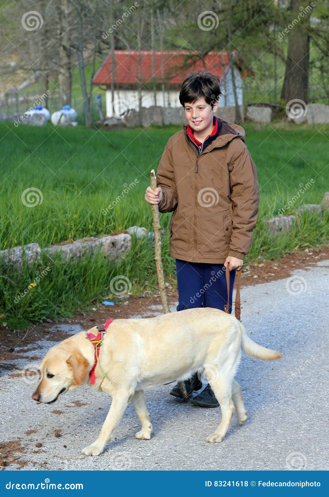 Boy Walks with His Dog on a Leash Stock Photo Image of baby, leash