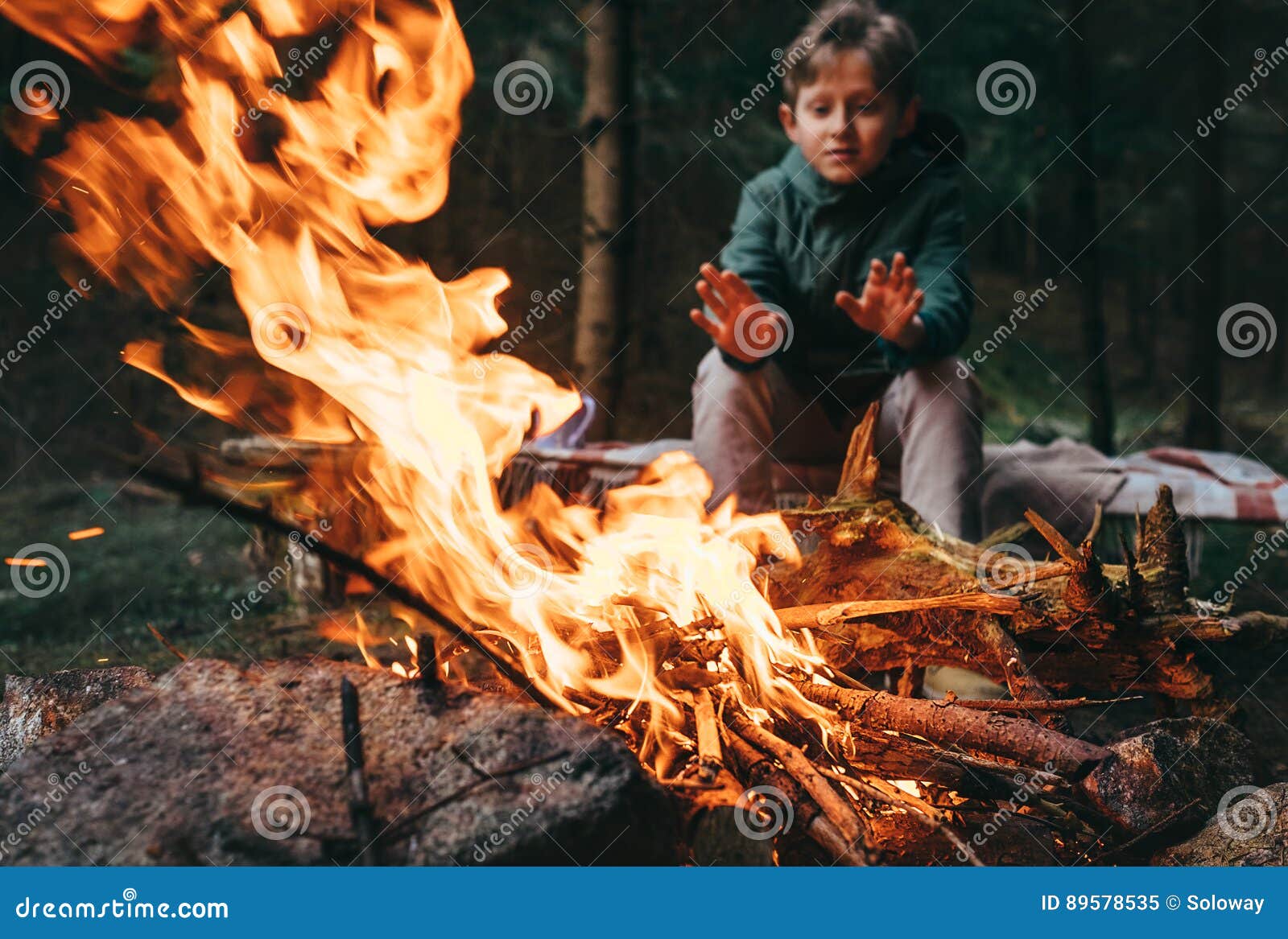 Boy Warms Hands Near the Campfire Stock Image Image of family, autumn