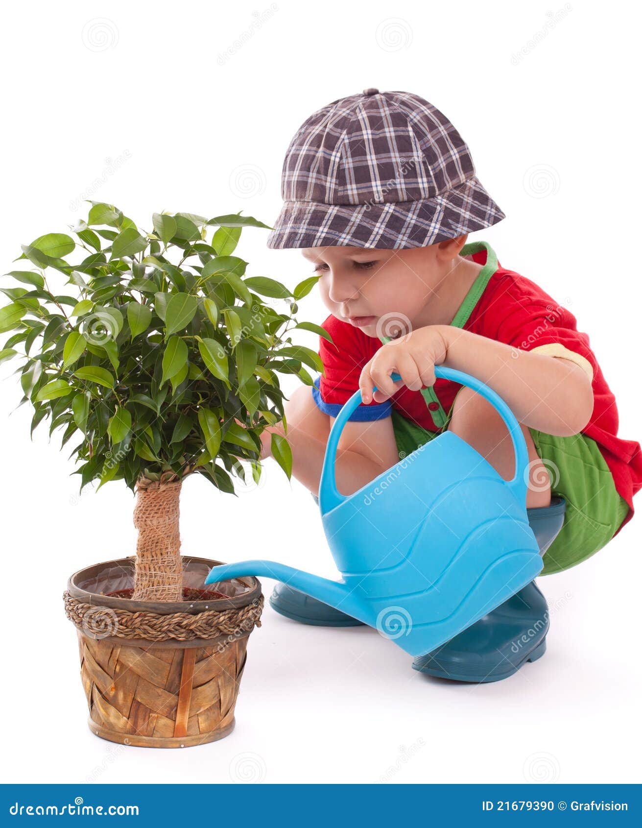 A boy with a wateringcan stock photo. Image of gardener 21679390