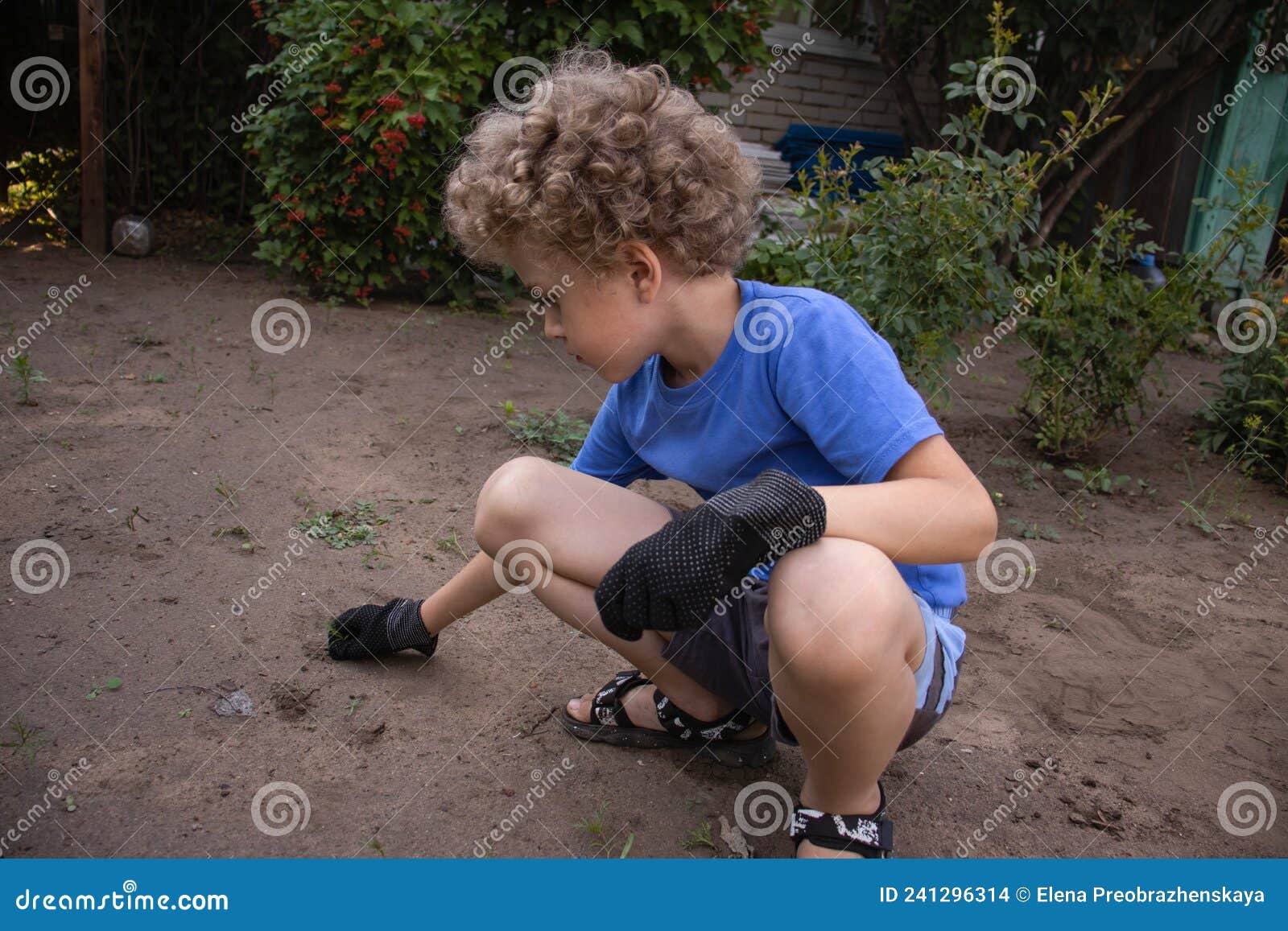 The Boy is Working in the Garden, Putting Things in Order on the Garden Plot. Teaching Children