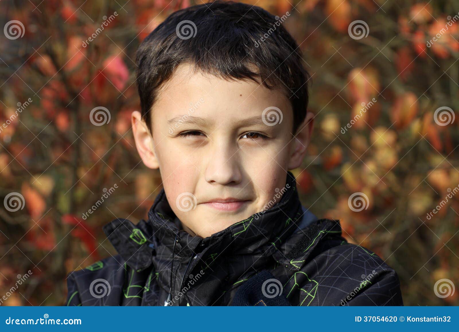 Boy 10 Years Old Against Colors Leafs in Falling Stock Photo - Image of