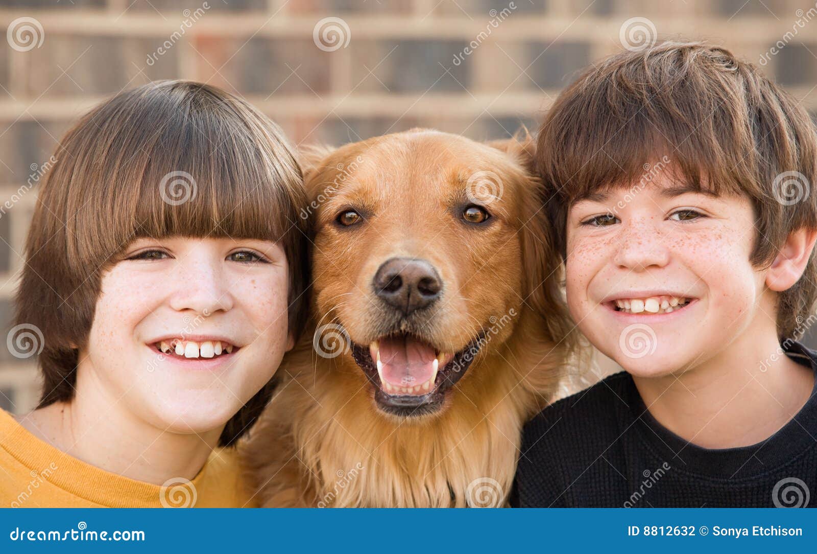 Boys and a Dog. Two Brothers Together with Their Golden Retriever