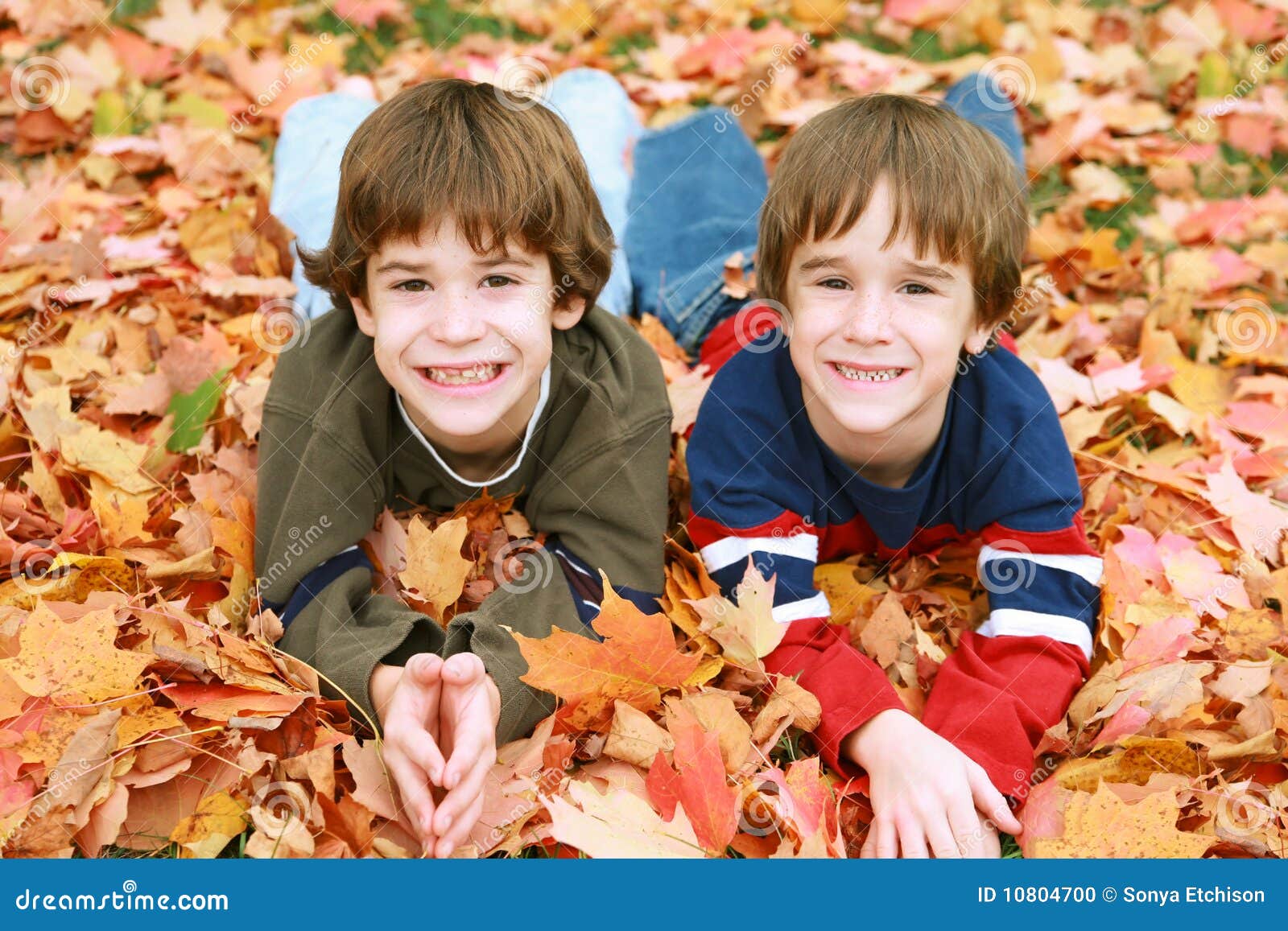 Boys in the Leaves stock photo. Image of caucasian, boys 10804700