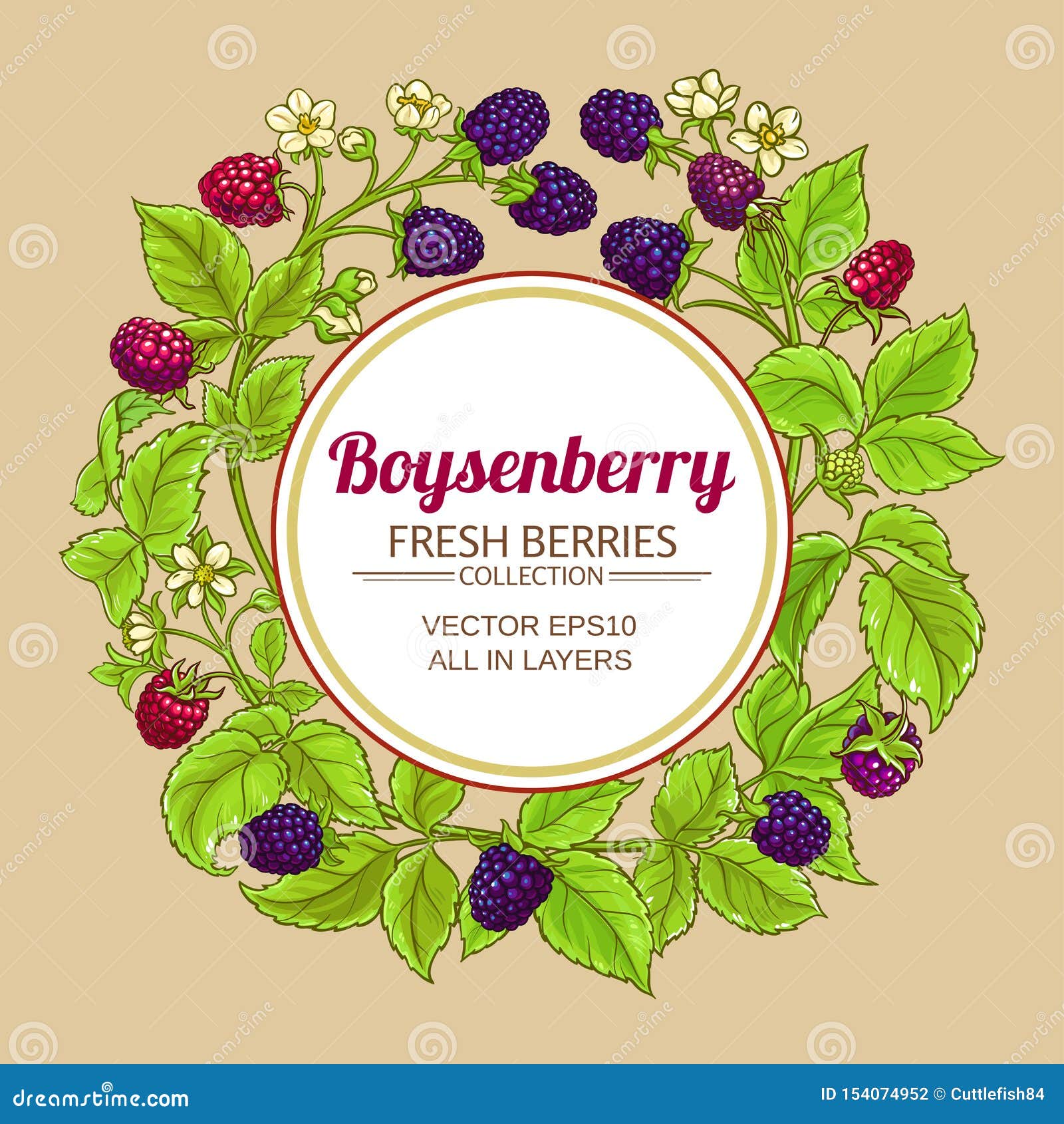 Boysenberry, Vector Drawing Sketch Of Berry 237121938
